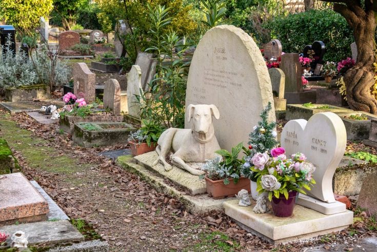 Best Of Top 10 Pet Cemeteries in Dallas City