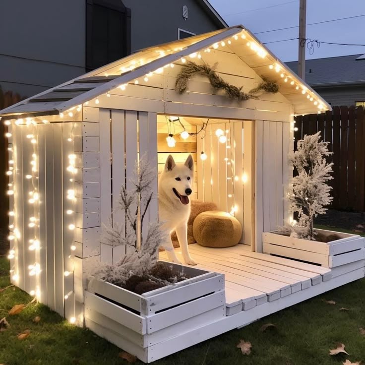 Best 10 Kennels in Dallas City