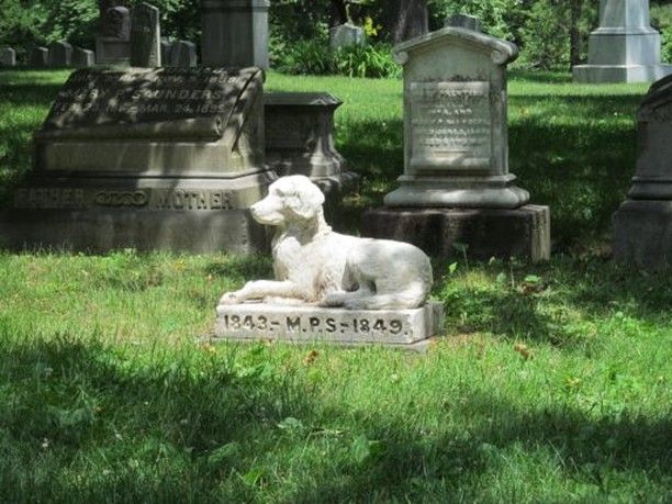 Best  Top 10 Pet Cemeteries in San Jose City