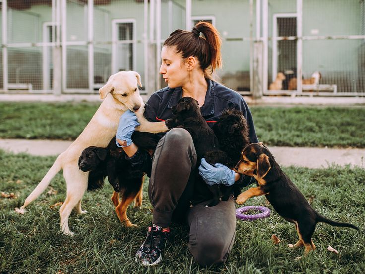 Best Of Top 10 Animal Shelters in Austin City