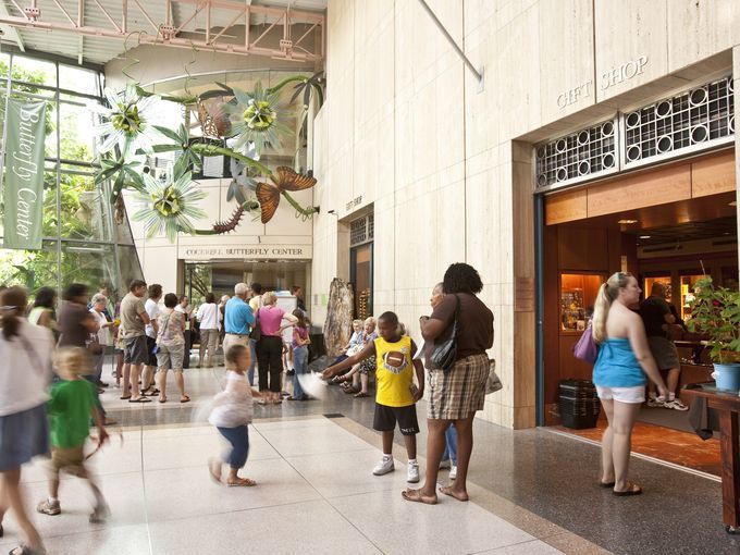 Houston’s Most Iconic Science & Technology Museums