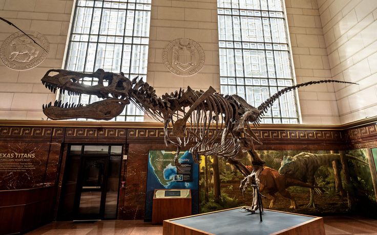 Must-Visit Museums in Austin Showcasing Art, Culture, and Innovation