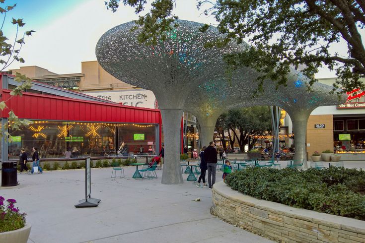Must-Visit Cultural Centers in Austin for Events and Exhibitions