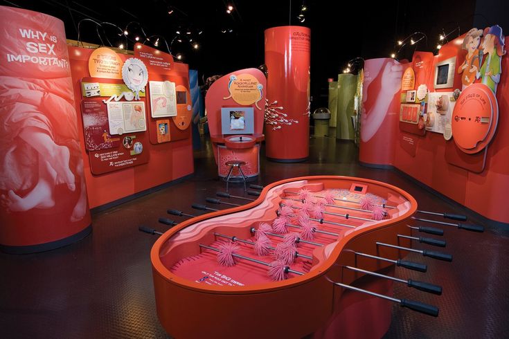 Explore Jacksonville’s Best Museums for Art, History, and Science