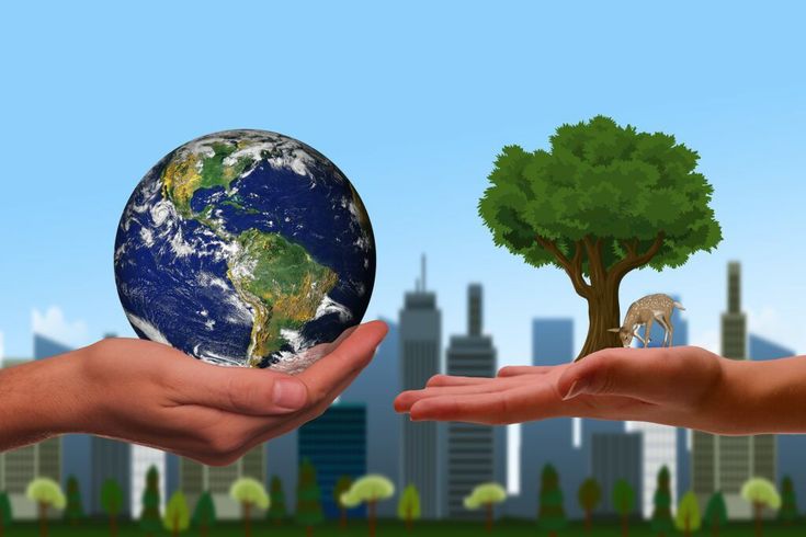 Comprehensive Recycling Services in Dallas for a Cleaner City