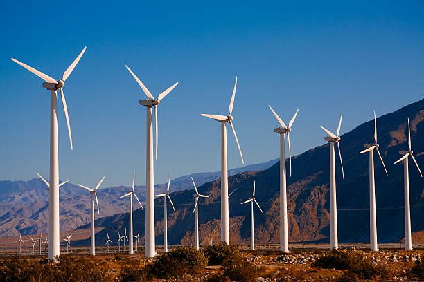 Trusted Solar and Renewable Energy Providers in Austin