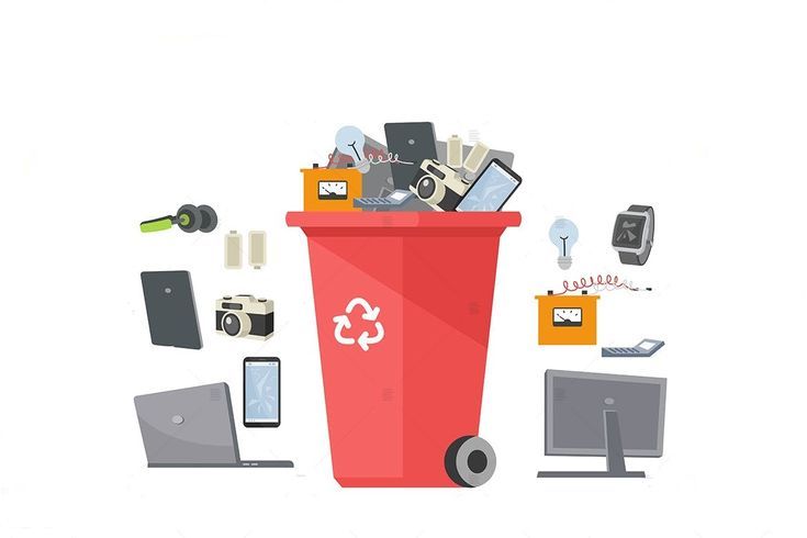 Affordable Waste Collection & Disposal in Jacksonville