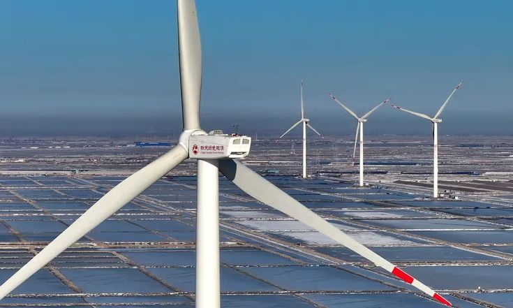 Trusted Renewable Power Providers in Indianapolis