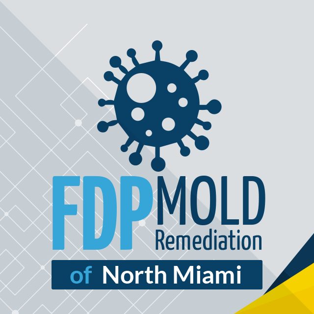 FDP Mold Remediation of North Miami